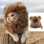 Simulation d'animal de compagnie Crinière de lion