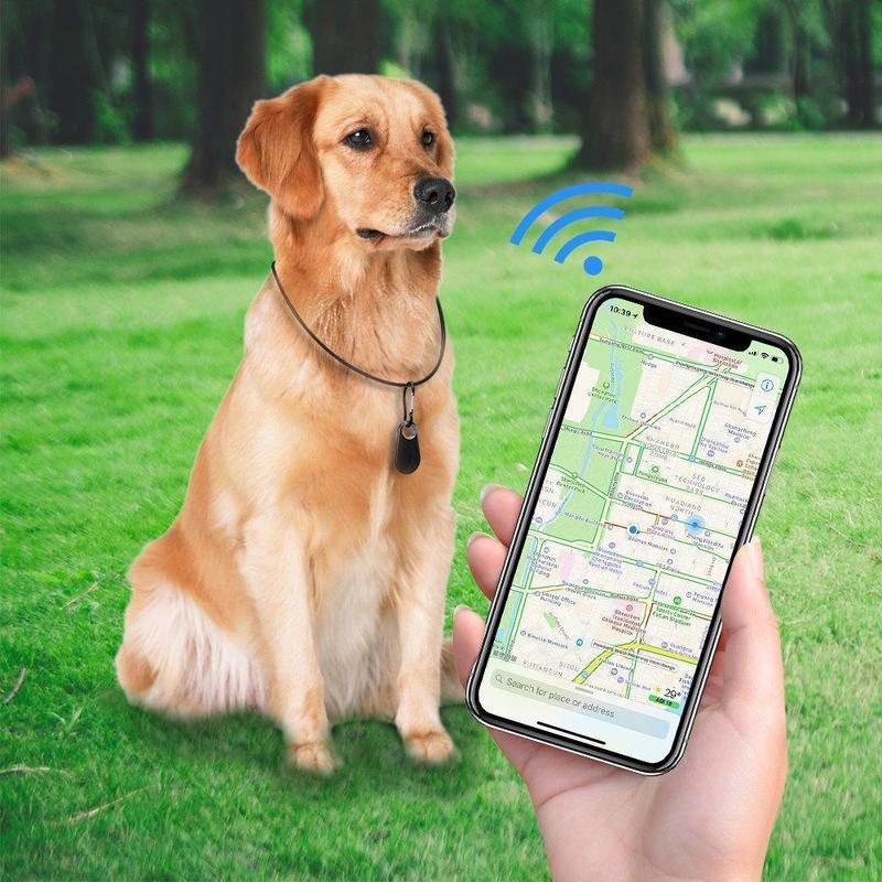 Ciaovie™ Traceur GPS Intelligent pour Animaux de Compagnie