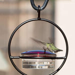 Mangeoire à colibri simple en métal