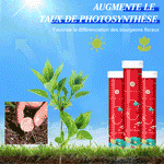 Engrais de jardin universel à libération lente sous forme de comprimés
