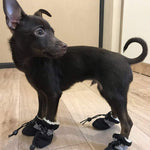 Ciaovie™ Bottes Antidérapants pour Chiens