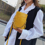 Petit Sac à Bandoulière Chaîne en Motif de Crocodile