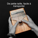 Kalimba 17 clés Professionnel Pouce Piano Instrument