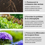 Engrais de jardin universel à libération lente sous forme de comprimés